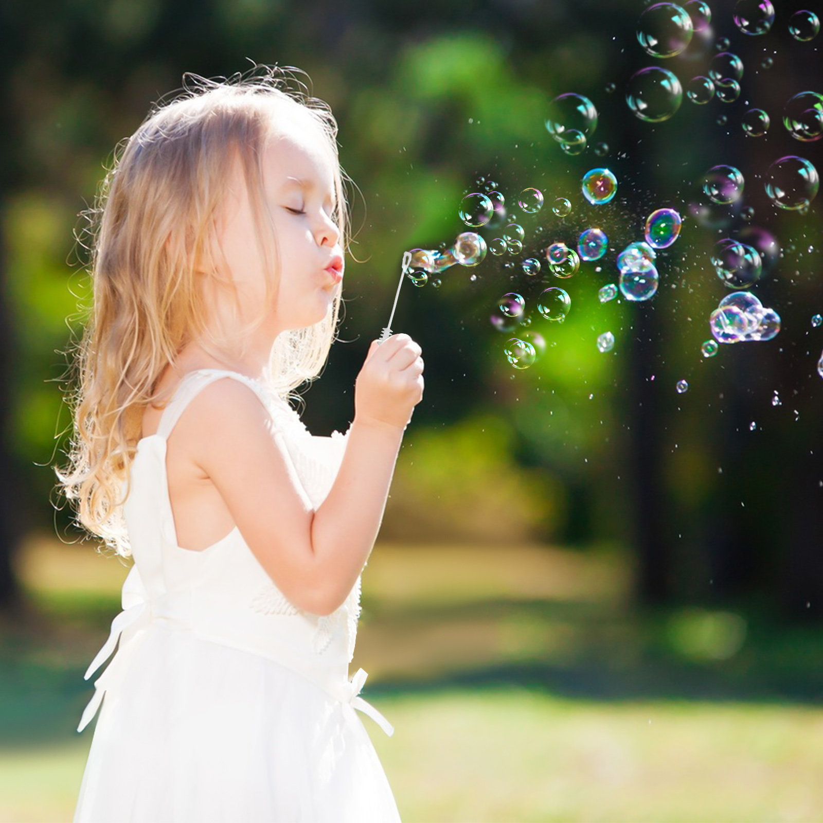 50Pcs Bubble Wand Bottle Empty - Wedding Solution review and price
